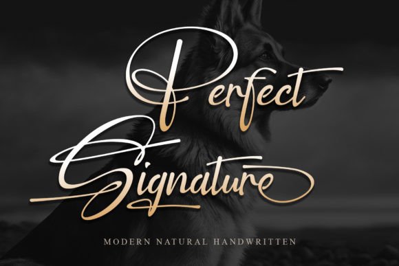 Perfect Signature: More Than Just a Font