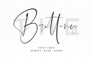 Why The Brittany Font Trio Feels Like a Design Cheat Code